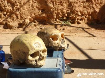 Yacimientos Atapuerca - Sierra de la Demanda; hoces del río duratón bosque encantado urbasa